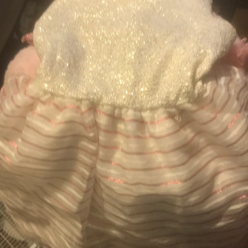 Girls hold glitter dress